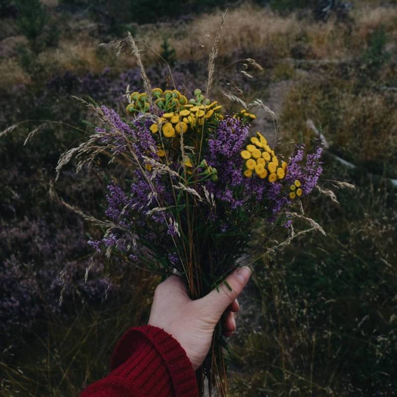 What do you&nbsp;sell?